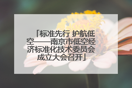 标准先行 护航低空——南京市低空经济标准化技术委员会成立大会召开