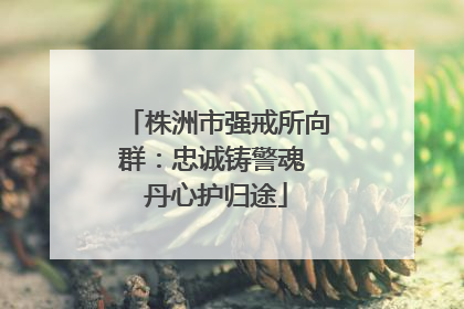 株洲市强戒所向群：忠诚铸警魂 丹心护归途