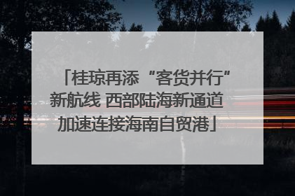 桂琼再添“客货并行”新航线 西部陆海新通道加速连接海南自贸港
