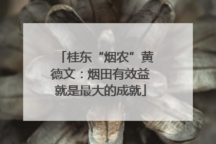 桂东“烟农”黄德文：烟田有效益就是最大的成就