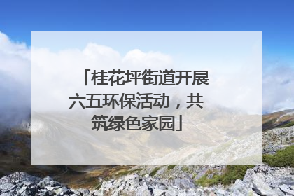 桂花坪街道开展六五环保活动，共筑绿色家园