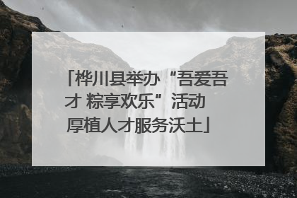 桦川县举办“吾爱吾才 粽享欢乐”活动 厚植人才服务沃土