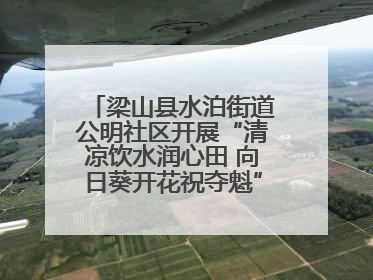 梁山县水泊街道公明社区开展“清凉饮水润心田 向日葵开花祝夺魁”助考活动