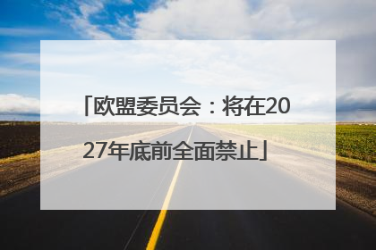 欧盟委员会：将在2027年底前全面禁止