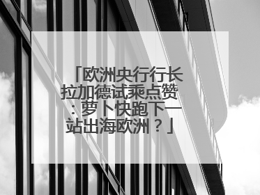 欧洲央行行长拉加德试乘点赞：萝卜快跑下一站出海欧洲？
