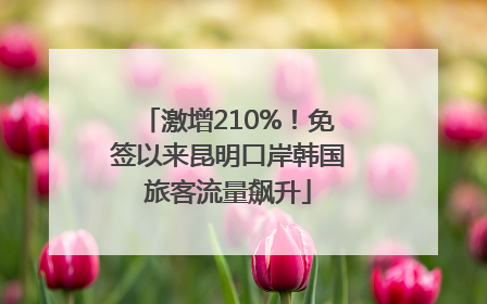 激增210%！免签以来昆明口岸韩国旅客流量飙升