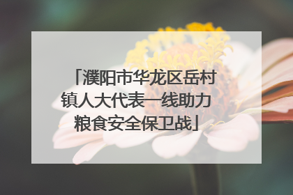 濮阳市华龙区岳村镇人大代表一线助力粮食安全保卫战