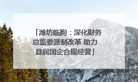 潍坊临朐：深化财务总监委派制改革 助力县属国企合规经营