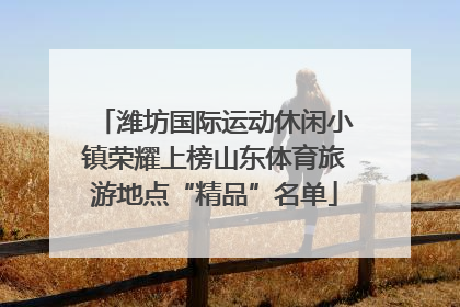潍坊国际运动休闲小镇荣耀上榜山东体育旅游地点“精品”名单