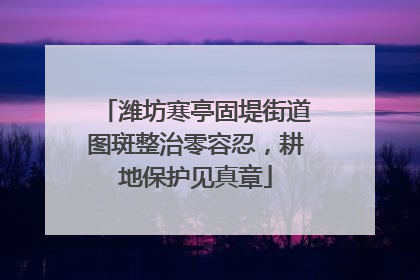 潍坊寒亭固堤街道图斑整治零容忍，耕地保护见真章