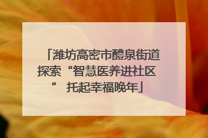 潍坊高密市醴泉街道探索“智慧医养进社区” 托起幸福晚年