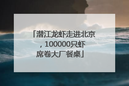 潜江龙虾走进北京，100000只虾席卷大厂餐桌