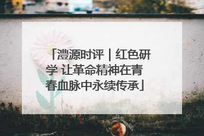 澧源时评｜红色研学 让革命精神在青春血脉中永续传承