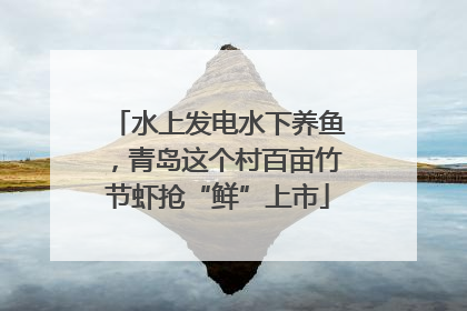 水上发电水下养鱼，青岛这个村百亩竹节虾抢“鲜”上市