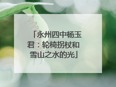 永州四中杨玉君：轮椅拐杖和雪山之水的光