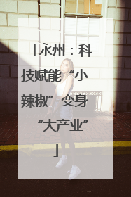 永州：科技赋能“小辣椒”变身“大产业”