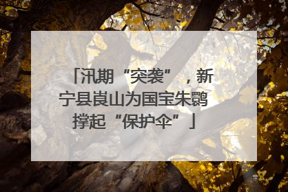汛期“突袭”，新宁县崀山为国宝朱鹮撑起“保护伞”