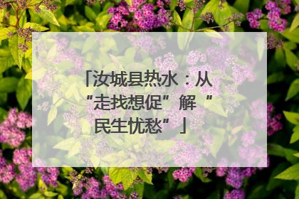 汝城县热水：从“走找想促”解“民生忧愁”
