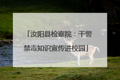汝阳县检察院：干警禁毒知识宣传进校园