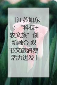 江苏如东：“科技+农文旅”创新融合 双节文旅消费活力迸发
