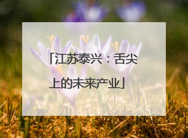 江苏泰兴：舌尖上的未来产业