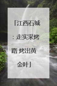 江西石城：走实采烤路 烤出黄金叶