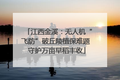 江西金溪：无人机“飞防”破丘陵植保难题 守护万亩早稻丰收