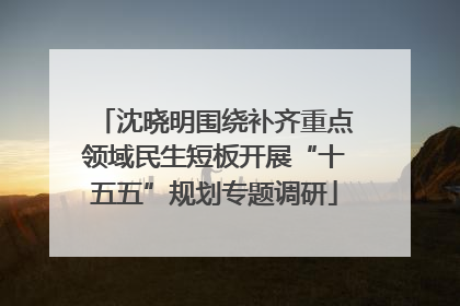 沈晓明围绕补齐重点领域民生短板开展“十五五”规划专题调研