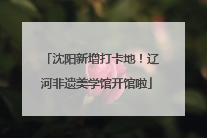 沈阳新增打卡地！辽河非遗美学馆开馆啦