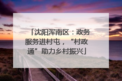 沈阳浑南区：政务服务进村屯，“村政通”助力乡村振兴