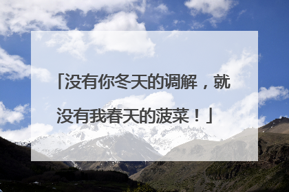 没有你冬天的调解，就没有我春天的菠菜！