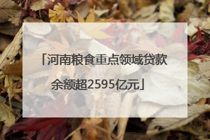 河南粮食重点领域贷款余额超2595亿元