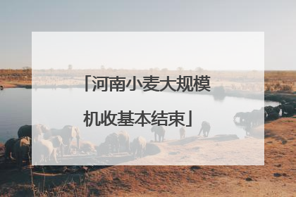 河南小麦大规模机收基本结束