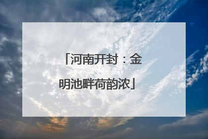 河南开封：金明池畔荷韵浓