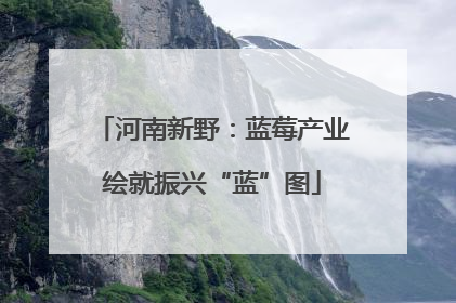 河南新野：蓝莓产业绘就振兴“蓝”图