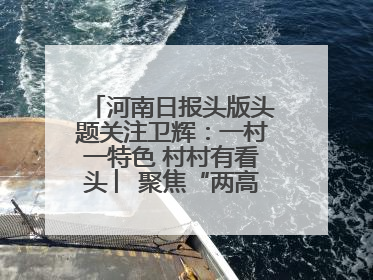河南日报头版头题关注卫辉：一村一特色 村村有看头 ︳聚焦“两高四着力”·一“县”观察