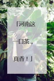 河南这一口茶，真香！