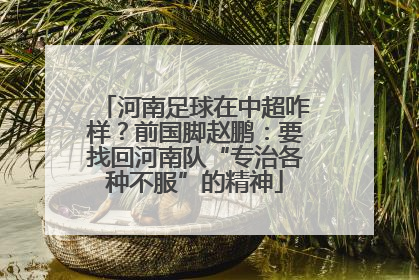 河南足球在中超咋样？前国脚赵鹏：要找回河南队“专治各种不服”的精神
