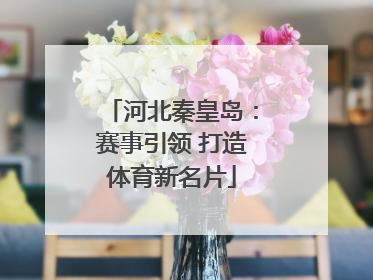 河北秦皇岛：赛事引领 打造体育新名片