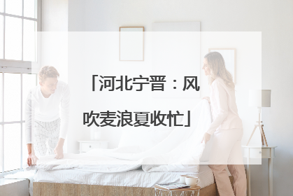 河北宁晋：风吹麦浪夏收忙