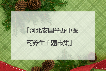 河北安国举办中医药养生主题市集