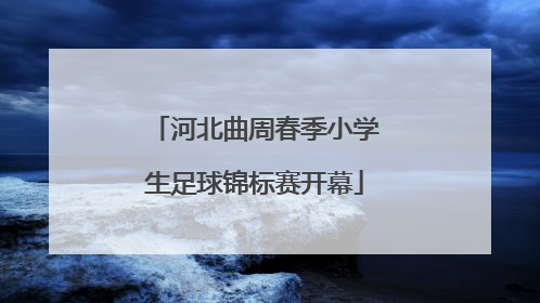 河北曲周春季小学生足球锦标赛开幕