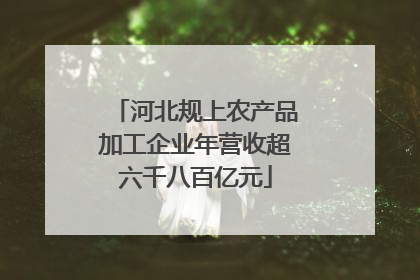 河北规上农产品加工企业年营收超六千八百亿元