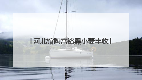 河北馆陶富铬黑小麦丰收