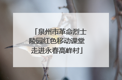 泉州市革命烈士陵园红色移动课堂走进永春高峰村