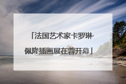 法国艺术家卡罗琳·佩隆插画展在蓉开幕