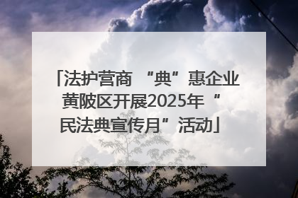法护营商 “典”惠企业 黄陂区开展2025年“民法典宣传月”活动