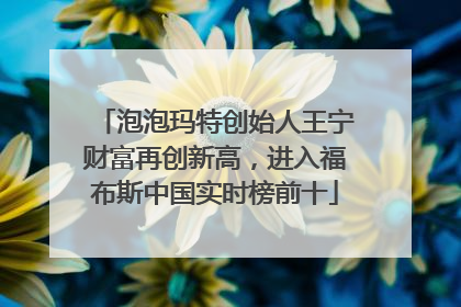 泡泡玛特创始人王宁财富再创新高，进入福布斯中国实时榜前十