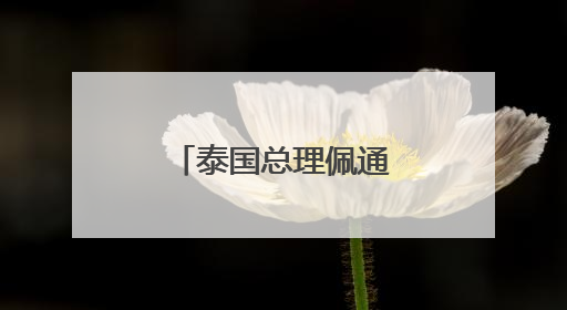 泰国总理佩通坦通话录音引发争议，8名内阁成员正式辞职