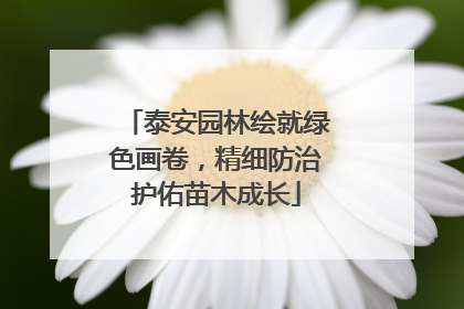 泰安园林绘就绿色画卷，精细防治护佑苗木成长